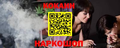 шишки Аргун