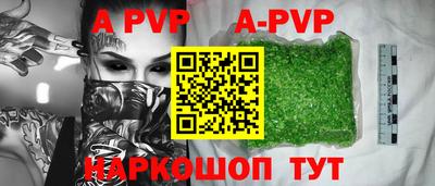 шишки Аргун