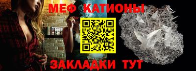 шишки Аргун
