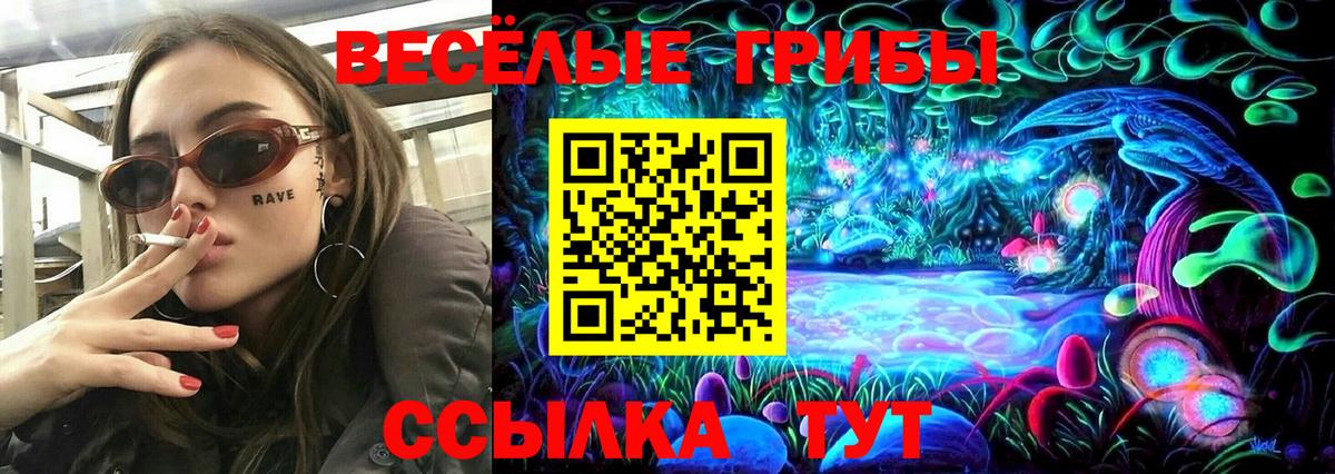 Галлюциногенные грибы GOLDEN TEACHER  Вход с VPN  Артём 